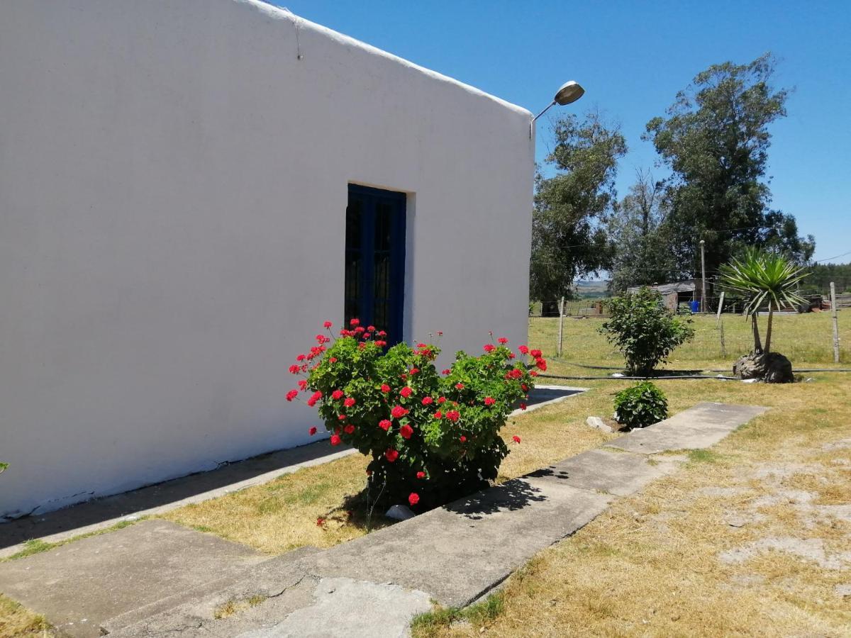 Gasthaus La Chacra Minas Exterior foto